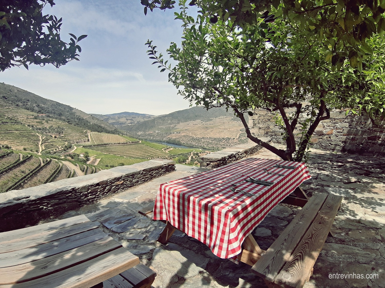 Quinta da Gricha