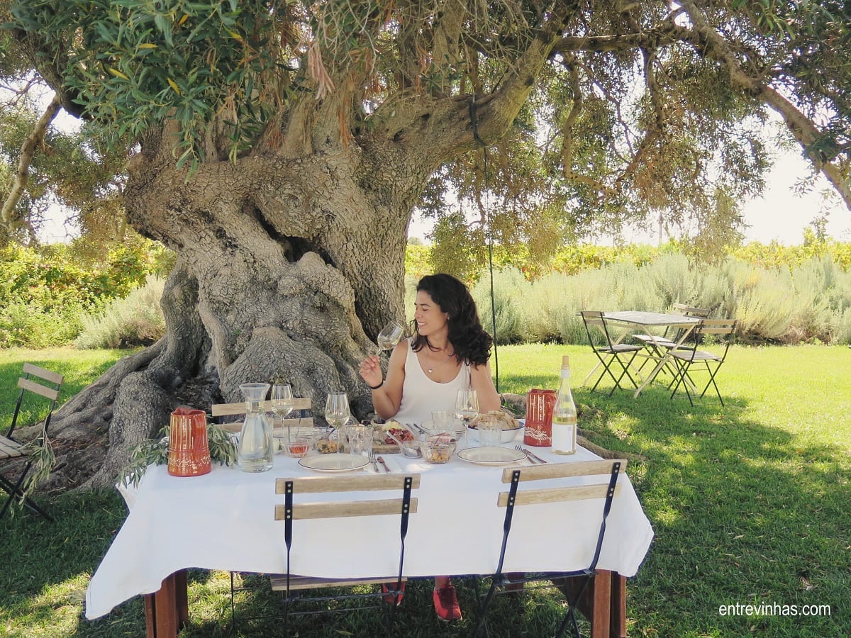 picnic na vinha algarve