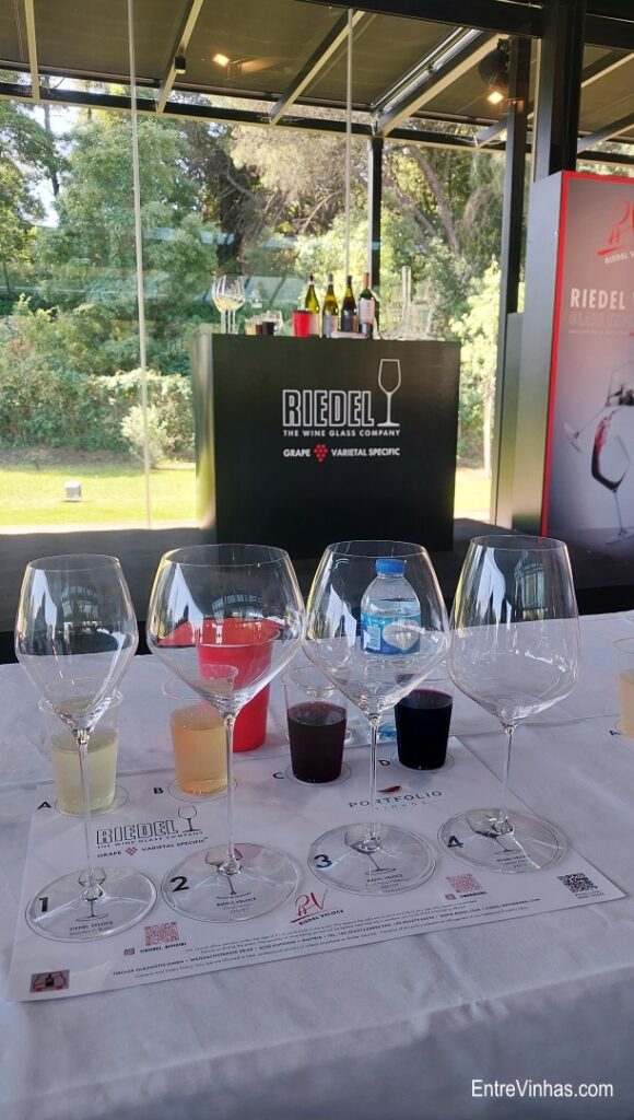 quatro copos de vinho desenhados por Riedel